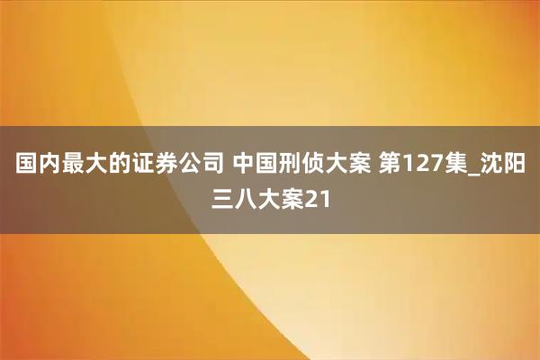 国内最大的证券公司 中国刑侦大案 第127集_沈阳三八大案21