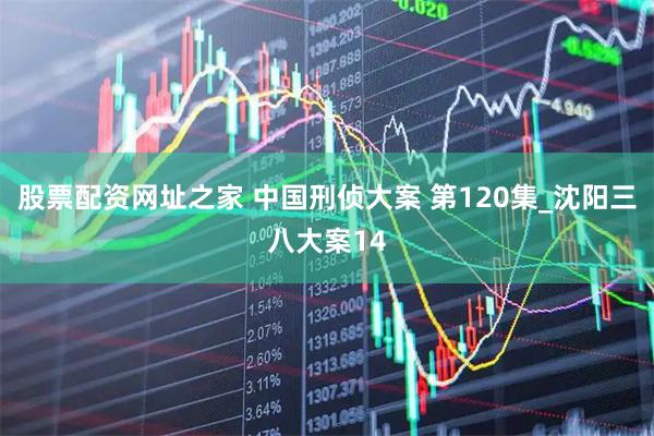 股票配资网址之家 中国刑侦大案 第120集_沈阳三八大案14